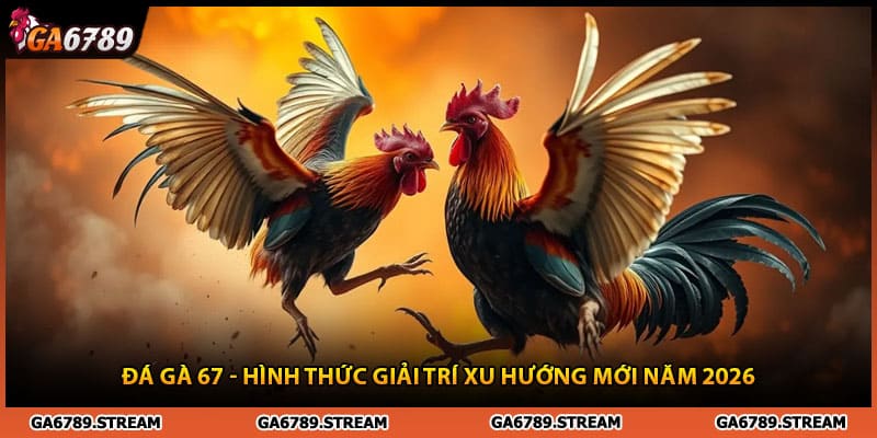 Đá gà 67 - Hình Thức Giải Trí Xu Hướng Mới Năm 2026