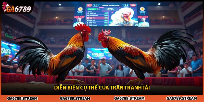 Diễn biến cụ thể của 1 trận gà cú đá 5 tỷ siêu cuốn