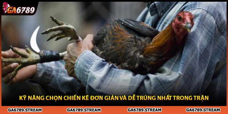 Kỹ năng chọn chiến kê đơn giản và dễ trúng nhất trong trận