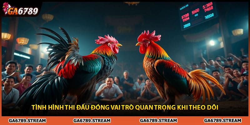 Tình hình thi đấu đóng vai trò quan trọng khi theo dõi
